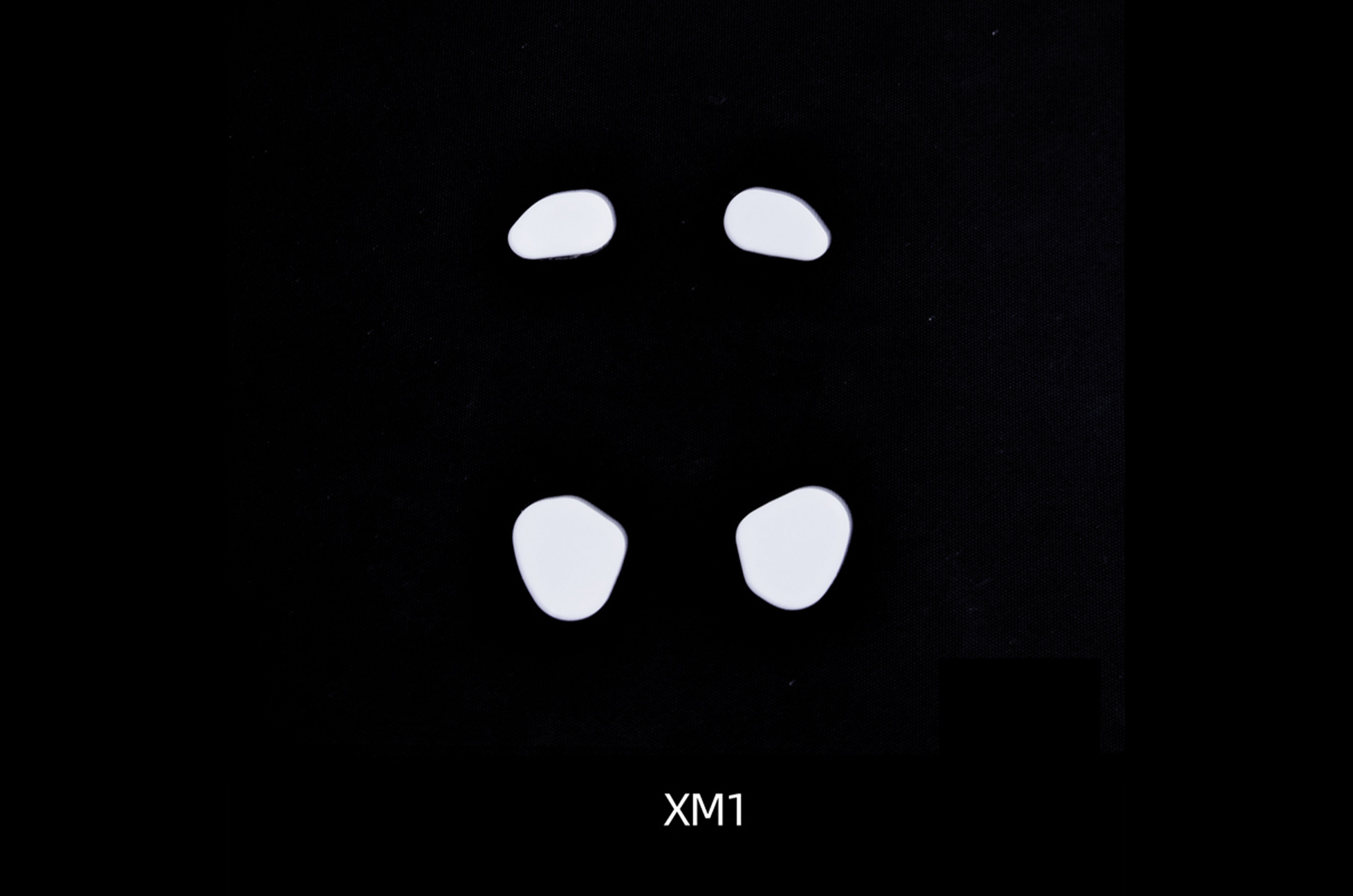 Esports Tiger Arc - Endgame Gear XM1 / XM1r