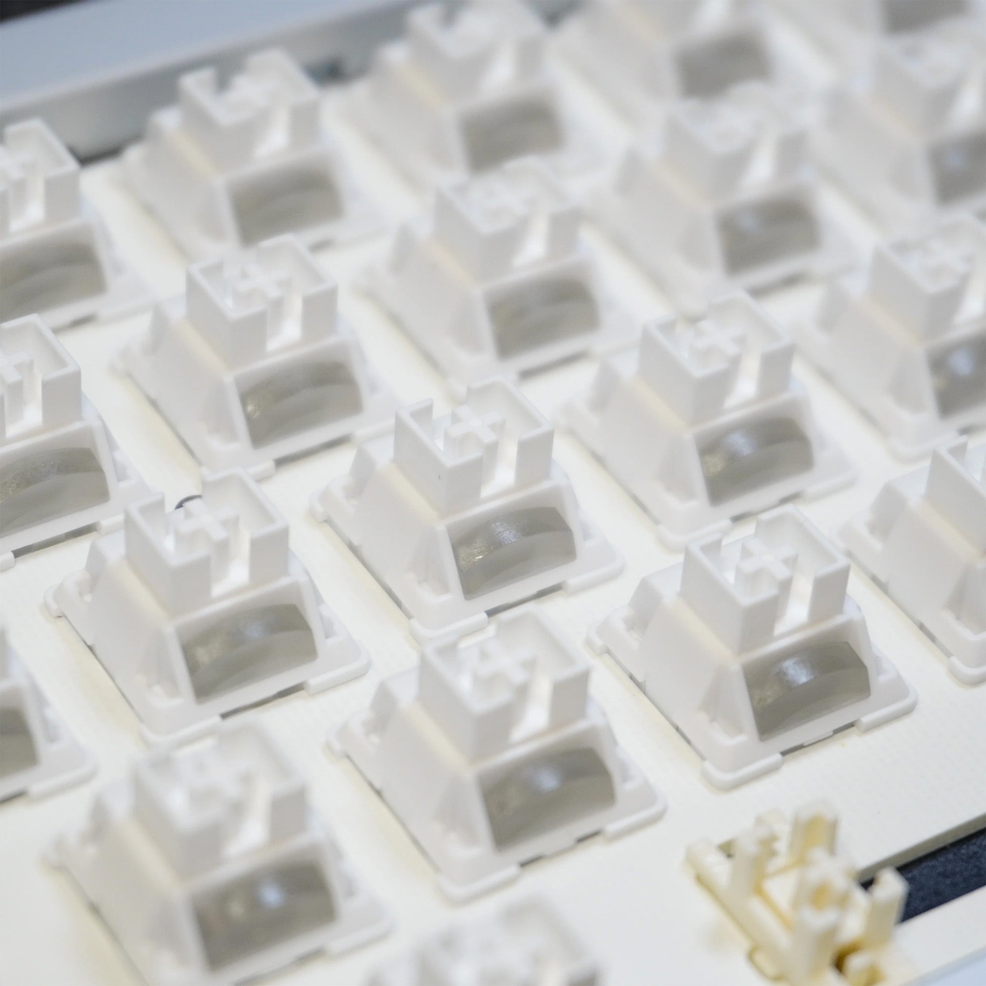 ZO HE Switches (10 pcs)