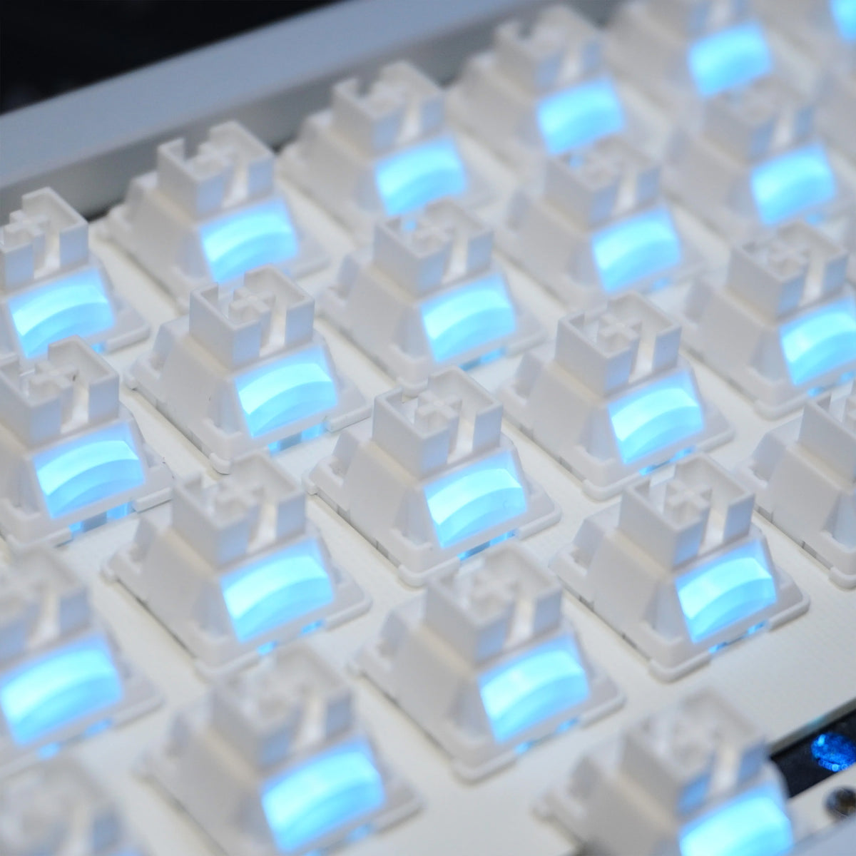 ZO HE Switches (10 pcs)